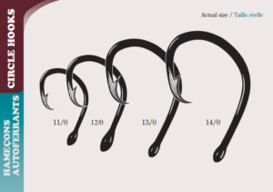 Circle Hooks - Clean Catch UK