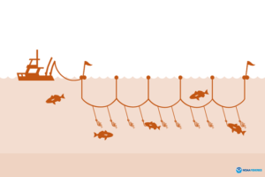 Diagram showing limited mainline and branchlines extending from the mainline