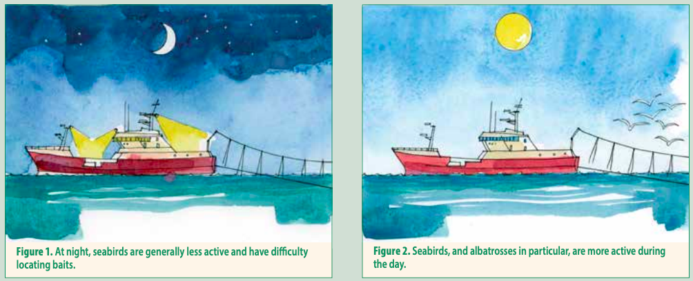 Diagram showing fishing vessel and night setting